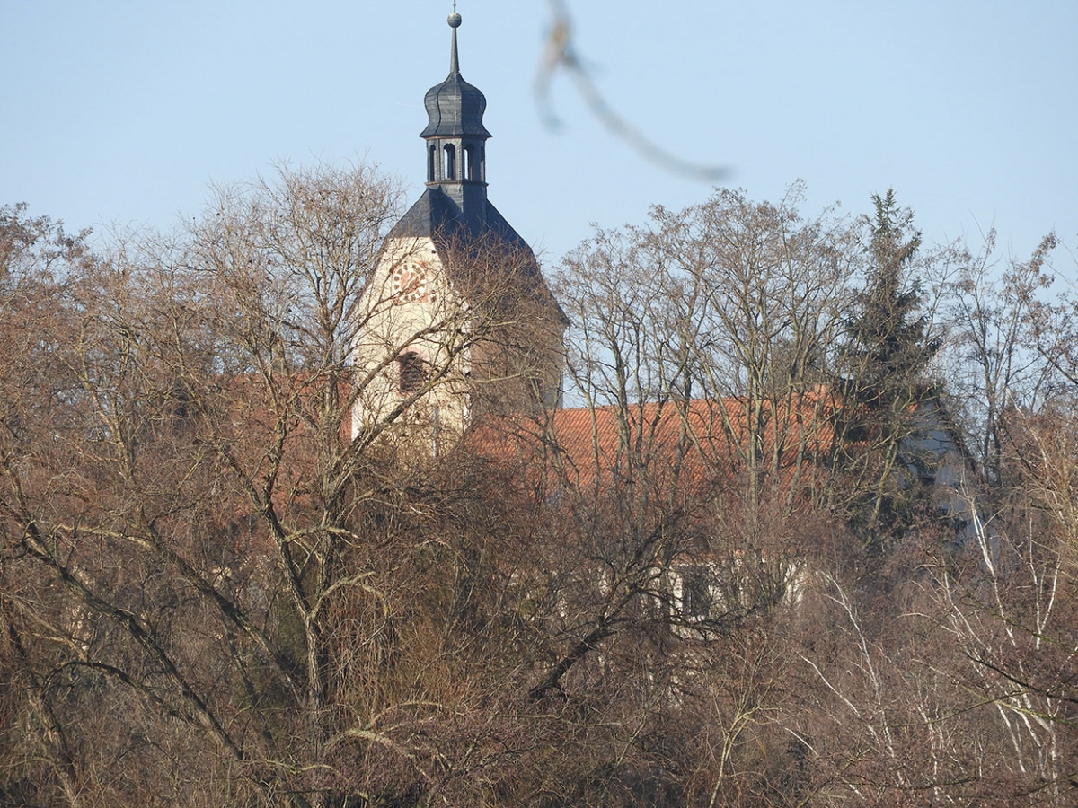 Blick auf die Kirche vom Unterberg